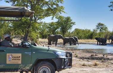 Camp Hwange - game drive