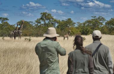 Camp Hwange - walk