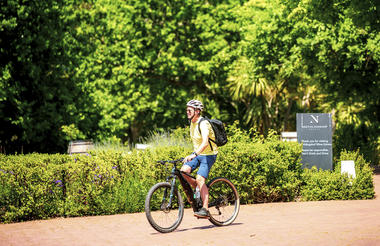 Bikes 'n Wines Stellenbosch Half Day Winelands EBike Tour 3