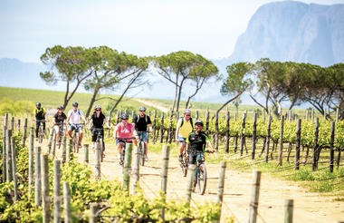 Bikes 'n Wines Stellenbosch Half Day Winelands EBike Tour 1