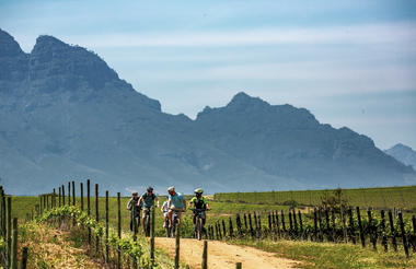 Bikes 'n Wines Stellenbosch Half Day Winelands EBike Tour 2