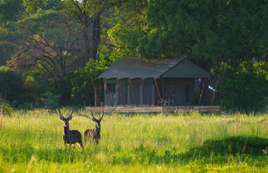 Karangoma - camp (tent exterior)