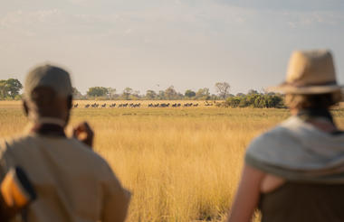 Karangoma - activity (walk)