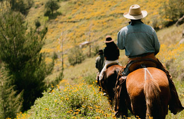 HORSEBACK RIDE
