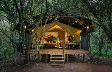 Safari Tent