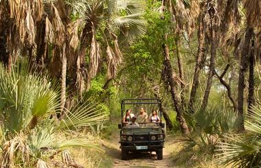 Game Drive Gorongosa