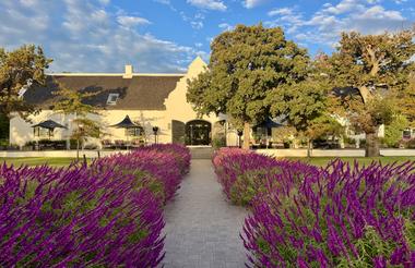Steenberg Hotel & Spa