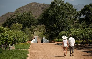 Garden walk Babylonstoren