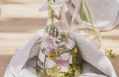 Holistic Botanic