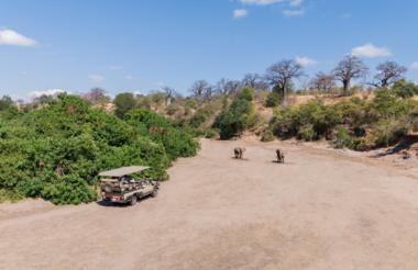 Game Drives