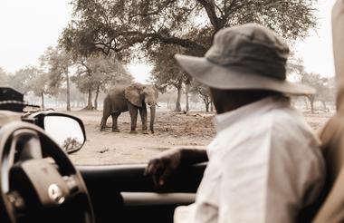Wilderness Chikwenya