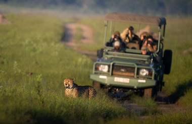 Game Drive