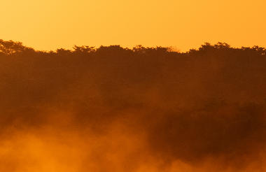 Game Drive