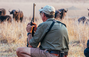 Walking Safari