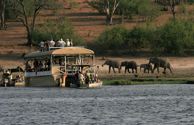 Chobe Bush Lodge boat cruise