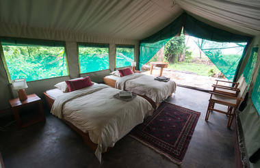 Twin guest tent