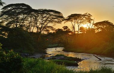 Ishasha Wilderness Camp - sunrise river view