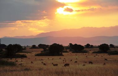 Ishasha Wilderness Camp - Sunset