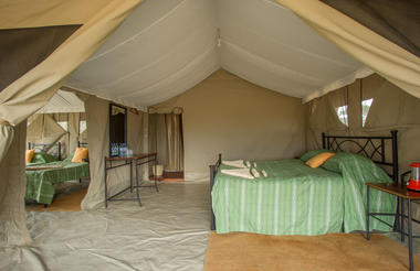 Serengeti Kati Kati - Family tent