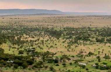 Serengeti Kati Kati