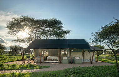 Mwiba Plains