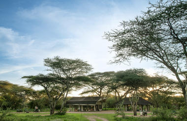 Mwiba Plains