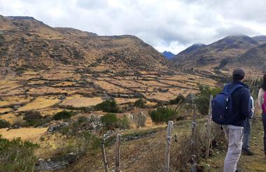 Lares