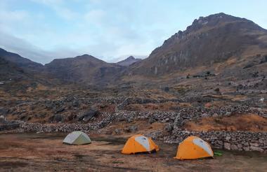 Lares