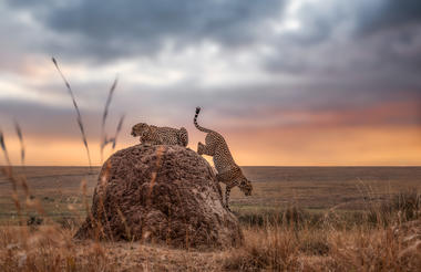 Elewana Collection Sand River Masai Mara