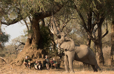 Stretch Ferreira Safaris - Goliath Camp