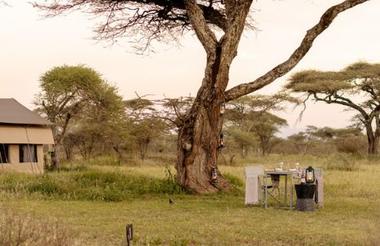 Ndutu Wilderness Camp 