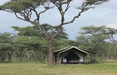 Ndutu Wilderness Camp - Tent exterior 