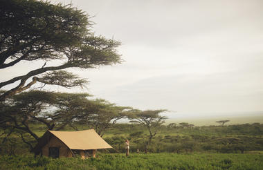 Expeditionary Walking Camp - Serengeti