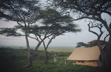 Expeditionary Walking Camp - Serengeti