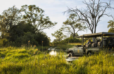 Delta Game Drive