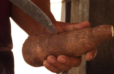 Cassava Flourmill (São Marcos Community)