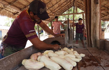 Cassava Flourmill (São Marcos Community)