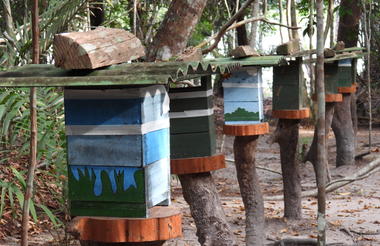 Kaiara - Coroca Community