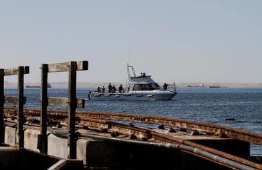 Mola Mola Marine Dolphin Cruise