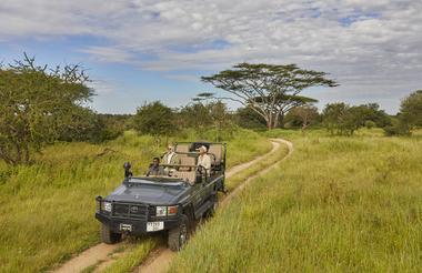 Mwiba Lodge