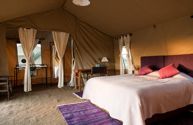Mara Under Canvas - North Serengeti