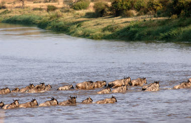 Mara Under Canvas - North Serengeti