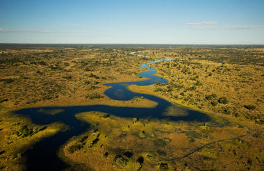 Selinda Reserve Landscape