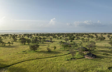 Nyasi