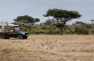 Game Drive