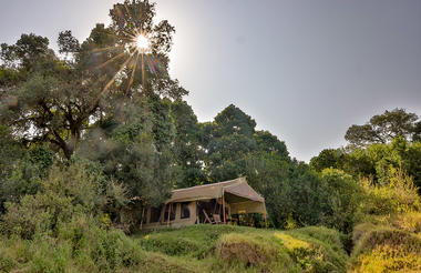 Sentinel Mara Camp