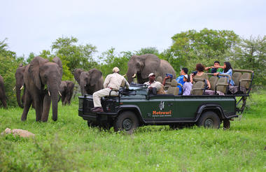 Geiger's Camp | Game Drives