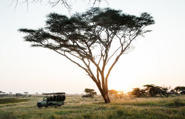 Namiri Plains - sunrise game drive