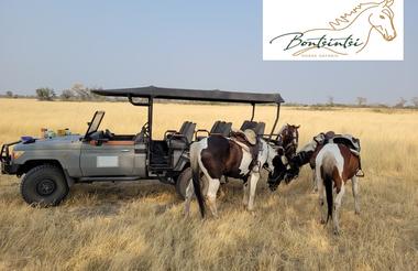 Bontsintsi Horse Safaris, Okavango Delta