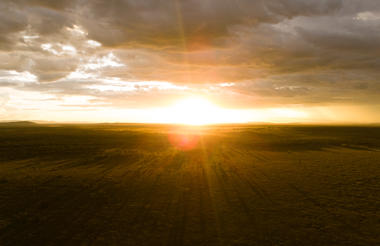 Awake to the Sights of the Serengeti